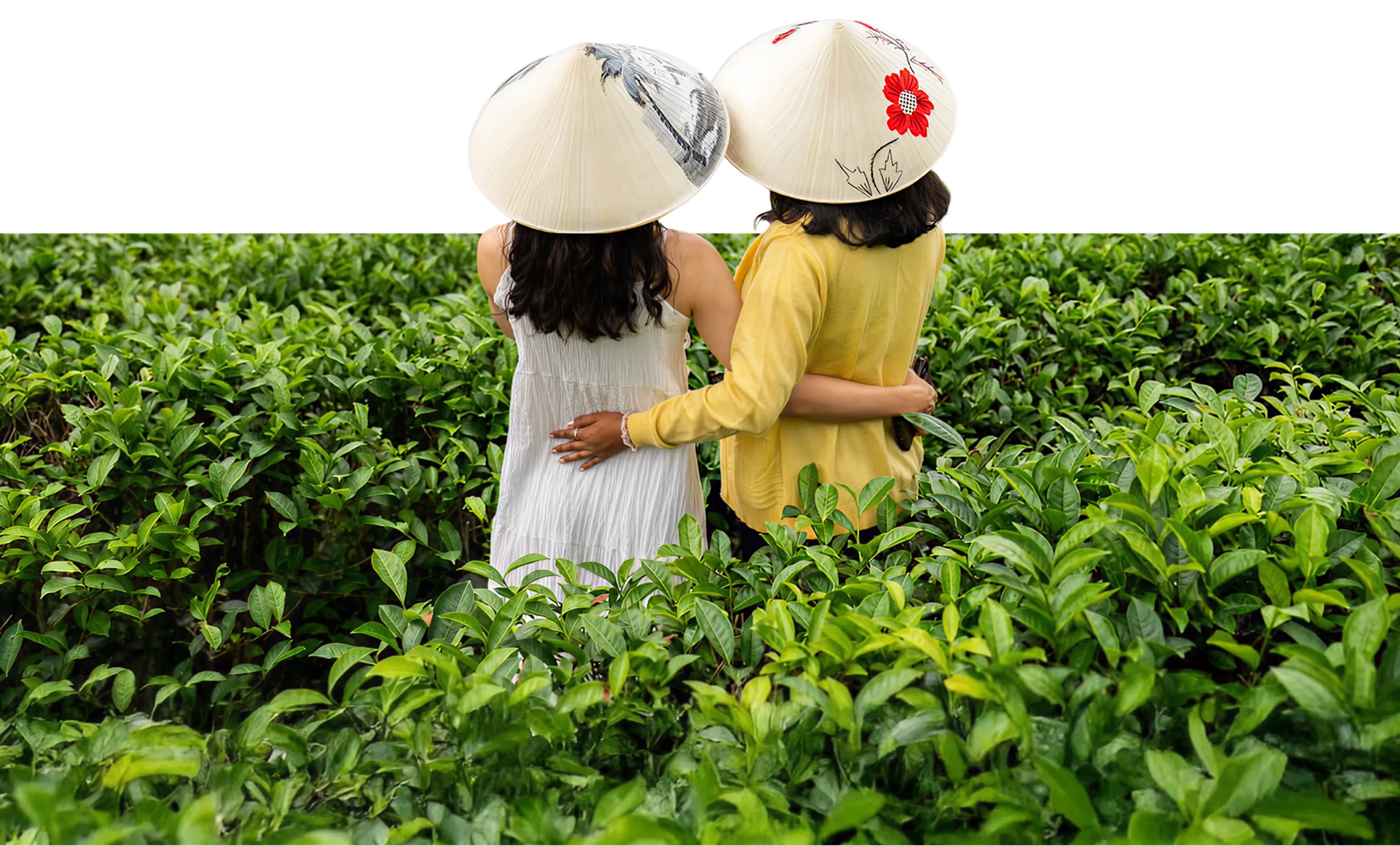 Прямо з серця китаю